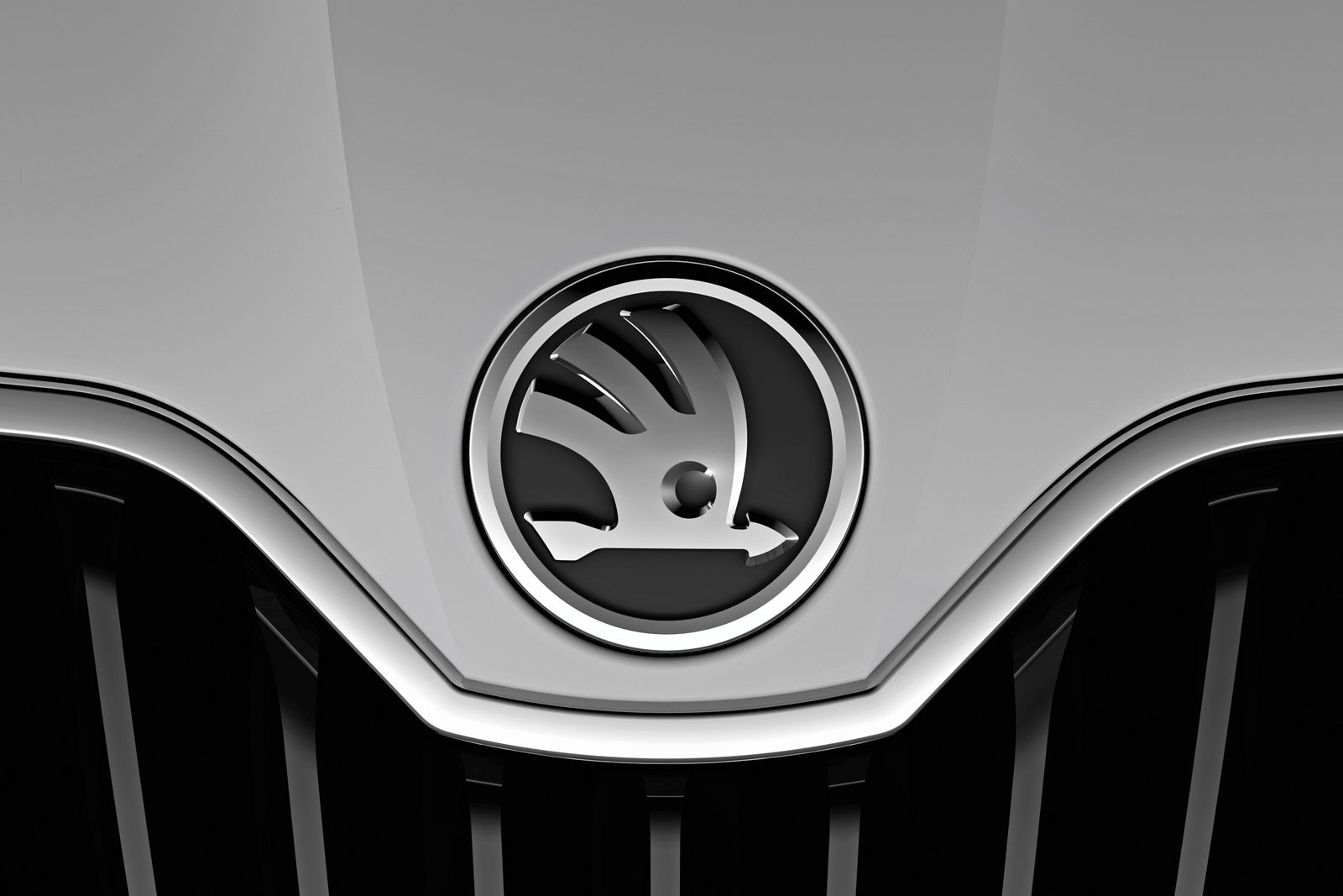 Skoda обещает порадовать скидками