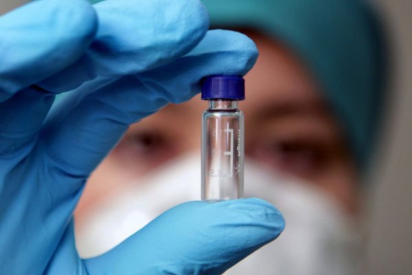 В 2017 году на Земле произойдет вспышка вируса H2N2