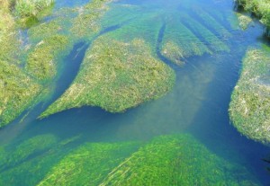 Балтийское море признали самым опасным в РФ
