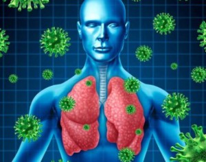 В Южной Корее возросло количество жертв коронавируса MERS
